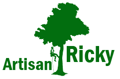 elagage-artisan-ricky